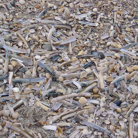 Haus Nordseeresidenz 42 * 韦斯特兰